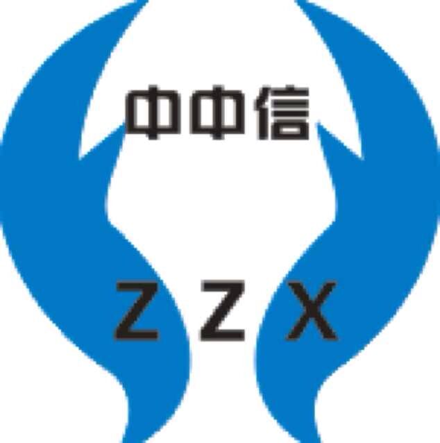 重慶中中信商務(wù)咨詢(xún)有限公司委托我司建站